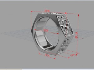 catacombes nut ring stl 3d model for 3d printing 3D Baskı Modeli