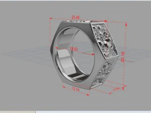 catacombes nut ring stl 3d model for 3d printing 3D Print Model