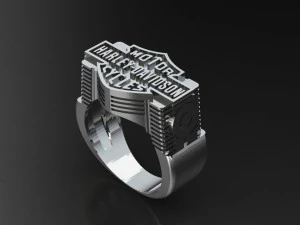 リングバイカー002 3Dプリントモデル