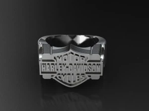 ring biker 002 3D Print Model