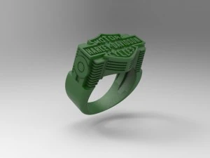 ring biker 002 3D Print Model
