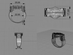 ring biker 002 3D Print Model