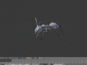 realistic ant model 3D-Modell