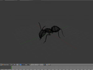 realistic ant model 3D Model