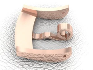 buckle watches omega 3D Print Model