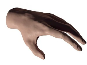 pelle della mano 3d Modello 3D