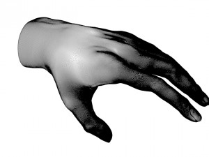 skin hand 3d 3D 모델