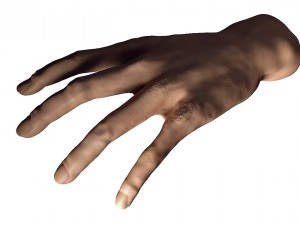 skin hand 3d 3D 모델