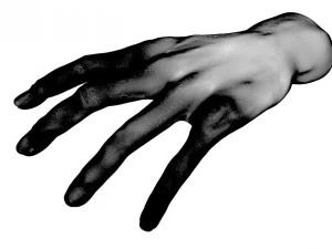 pelle della mano 3d Modello 3D