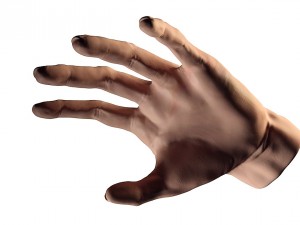 skin hand 3d 3D 모델