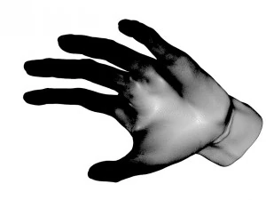pelle della mano 3d Modello 3D