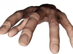 pelle della mano 3d Modello 3D
