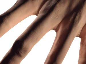 pelle della mano 3d Modello 3D