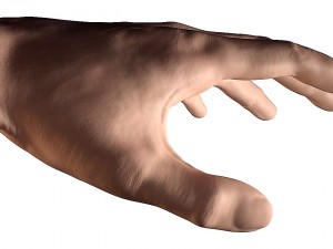skin hand 3d 3D 모델