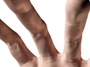 pelle della mano 3d Modello 3D