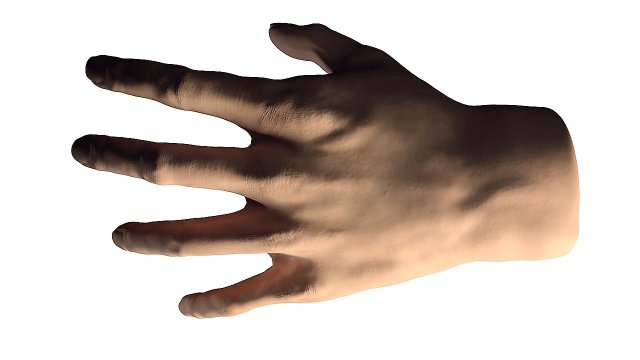 skin hand 3d 3D 모델 .c4d .max .obj .3ds .fbx .stl .blend 