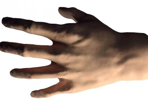 Hauthand 3d 3D Modell