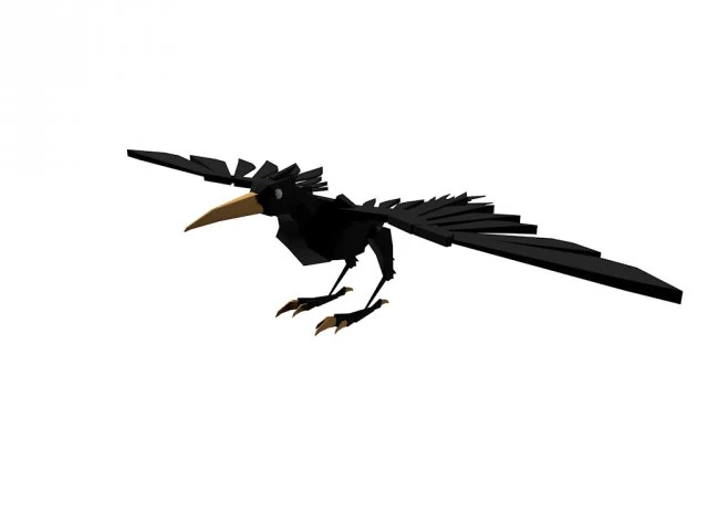 crow 3D Model .c4d .max .obj .3ds .fbx .stl .blend 
