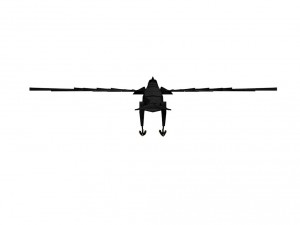 crow 3D Модель