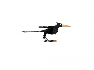 crow 3D Модель