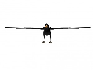 crow 3D Модель