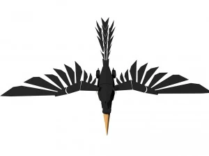 crow 3D Model