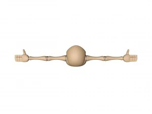 bony 3D Model
