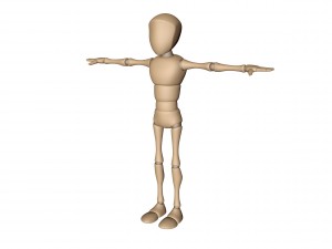 bony 3D Model