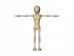 bony Modelo 3D
