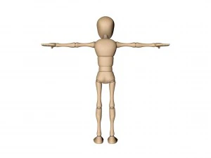 bony 3D Model