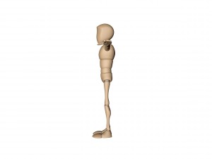 bony Modelo 3D