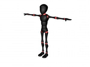 bony 3D-Modell