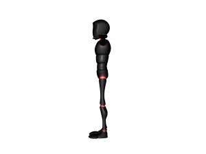 bony 3D Model