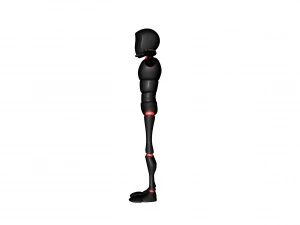bony 3D Model