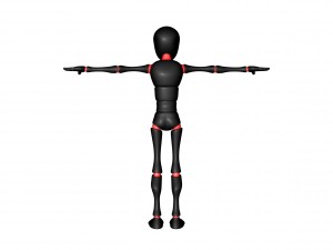 bony 3D Model