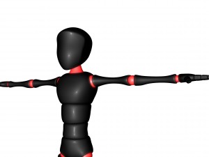 bony 3D Model