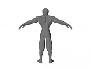 homme low poly Modèle 3D