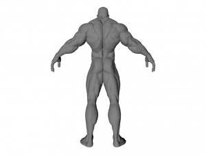 muscle man 3Dモデル