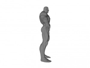 muscle man 3Dモデル