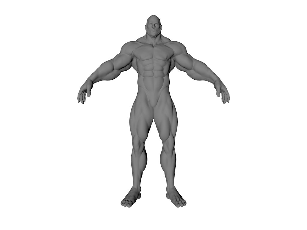 Muscle Man Free 3d Model In Anatomy 3dexport