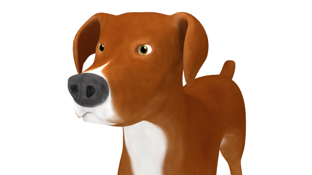 american pitbull Model 3D .c4d .max .obj .3ds .fbx .stl .blend