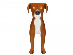 american pitbull Model 3D
