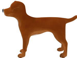 american pitbull Model 3D
