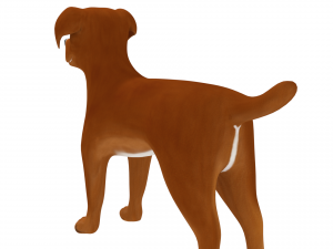 american pitbull Model 3D