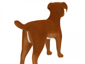 american pitbull Model 3D