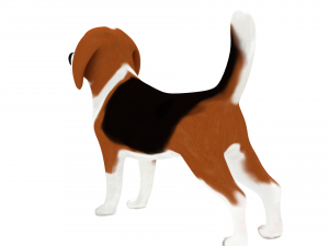 beagle 3D-Modell