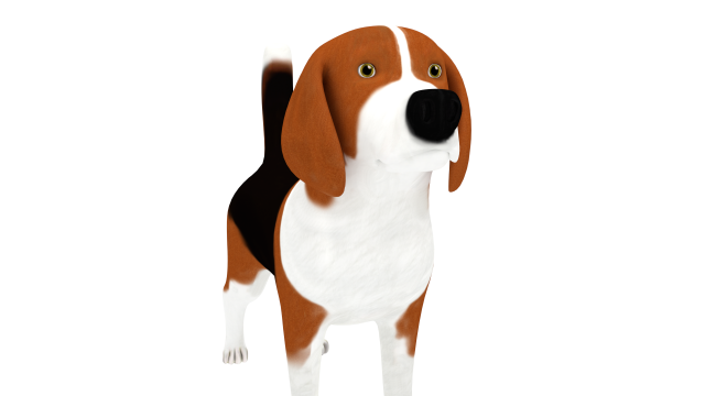 beagle 3D-Modell .c4d .max .obj .3ds .fbx .stl .blend 
