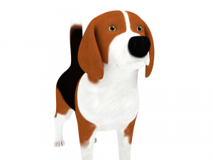 beagle 3D Model