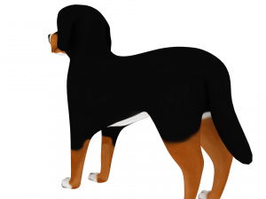 bernese mountain Modello 3D