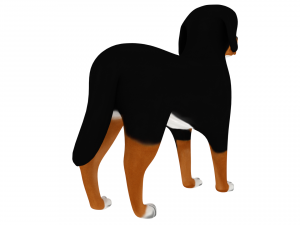 bernese mountain Modello 3D
